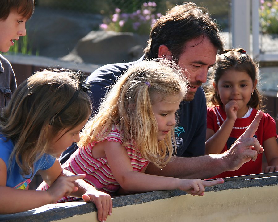 Aquarium employee shows young children the proper two-finger-touch technique for petting sharks