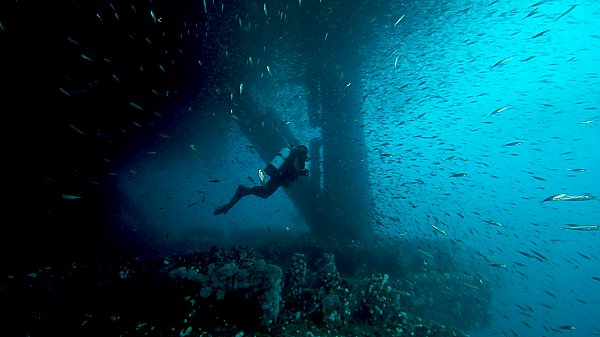 Diver swims by underwater oil rig surrounded by fish