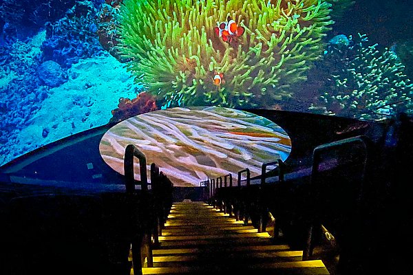 Theater interior with stairs and clownfish in sea anemone on screen