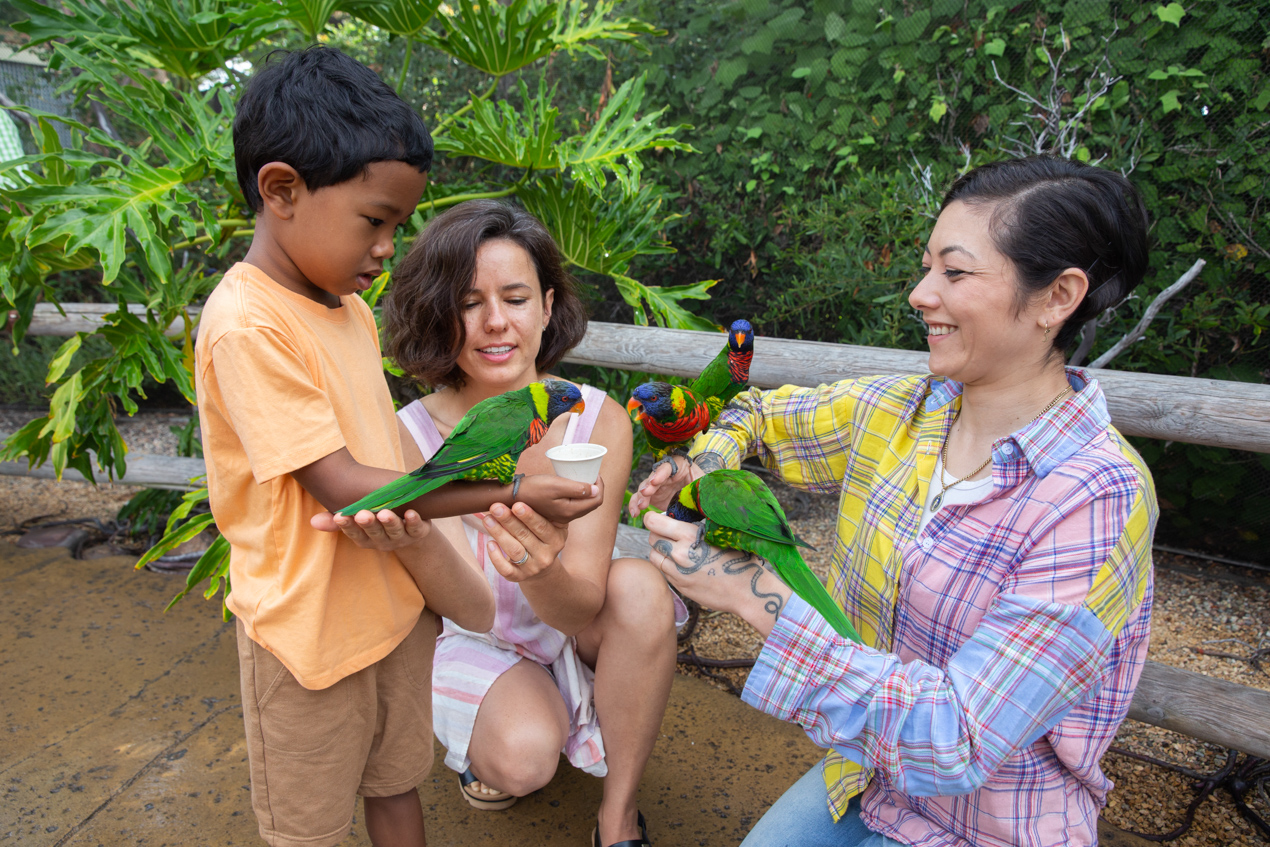 Two women and child feeding lorikeets